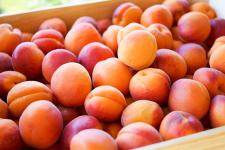gallery/apricots